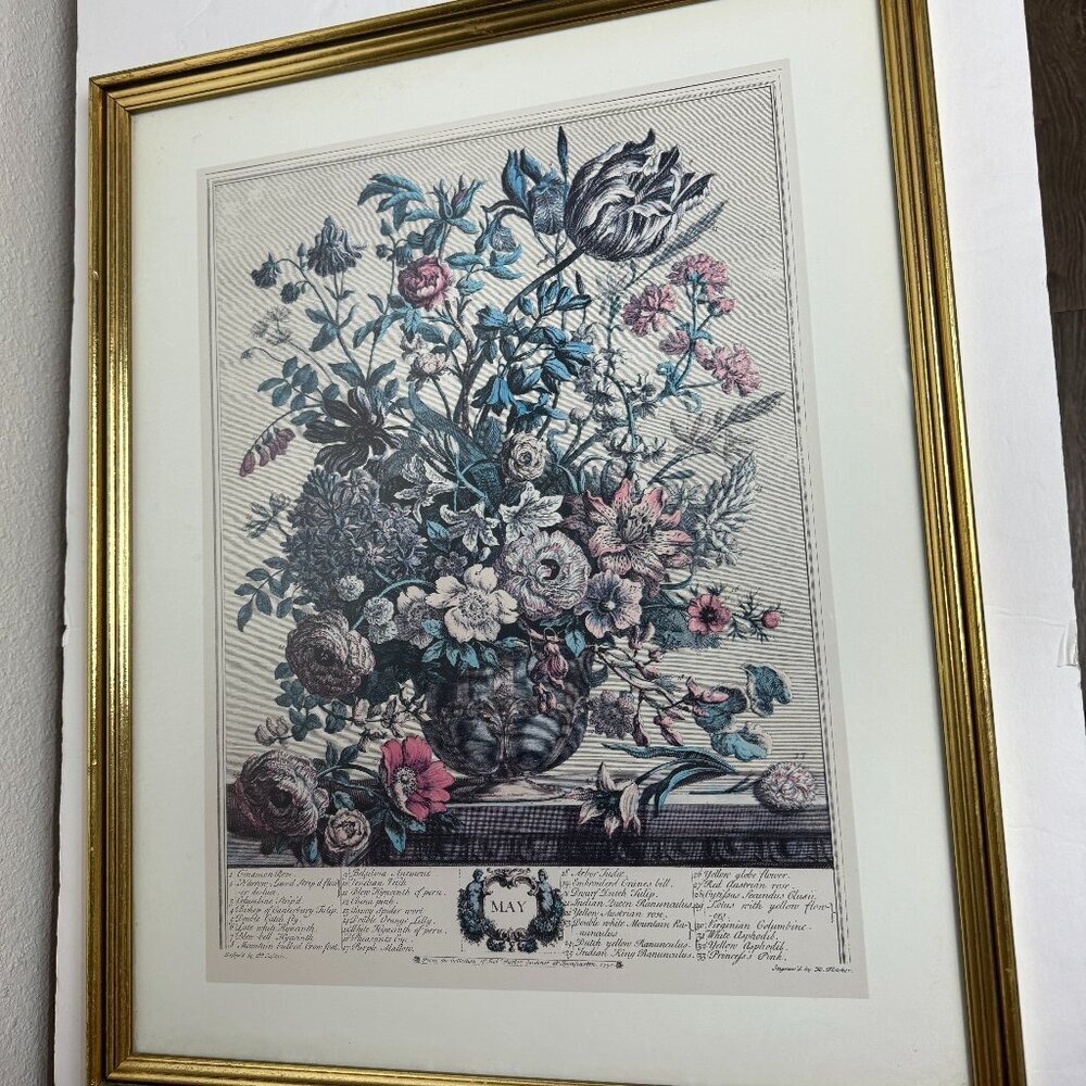 Vintage Robert Furber MAY Botanical Art  Print Fletcher Engraver Framed